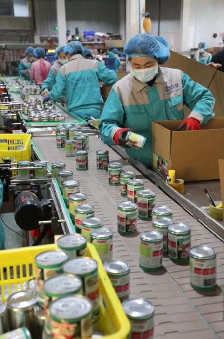 走在前 开新局丨帅克宠物,"链"出沂南宠物产品新未来